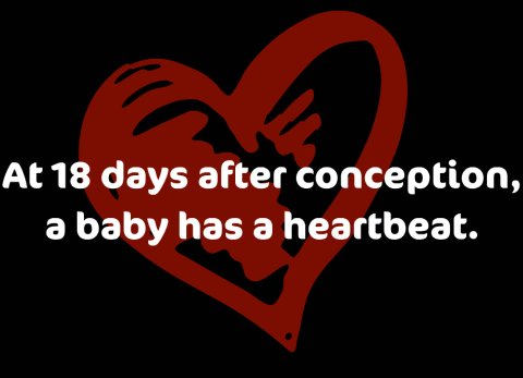 heartbeat