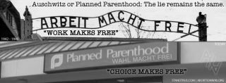 pp auschwitz